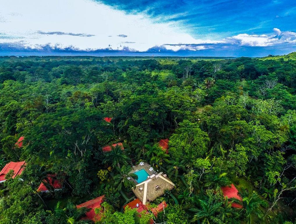 Hotel La Palapa Eco Lodge Resort Portalón Exterior foto