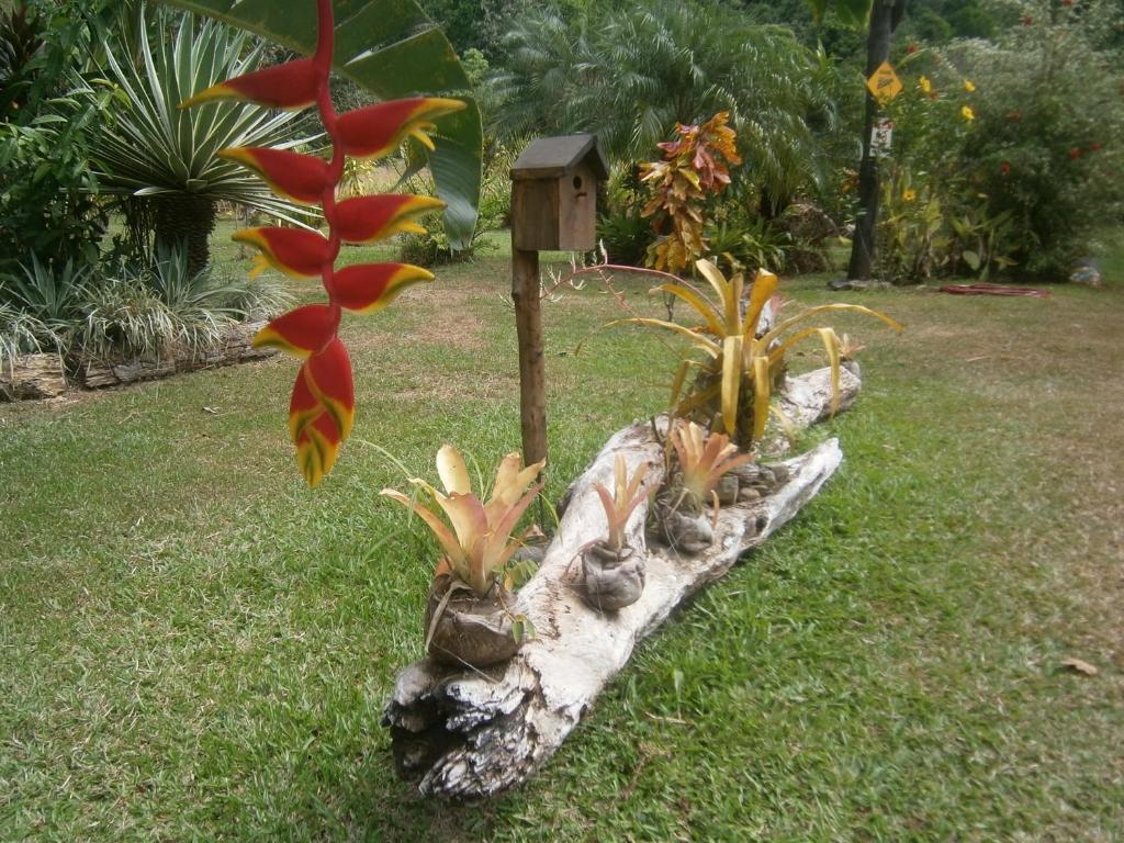 Hotel La Palapa Eco Lodge Resort Portalón Exterior foto