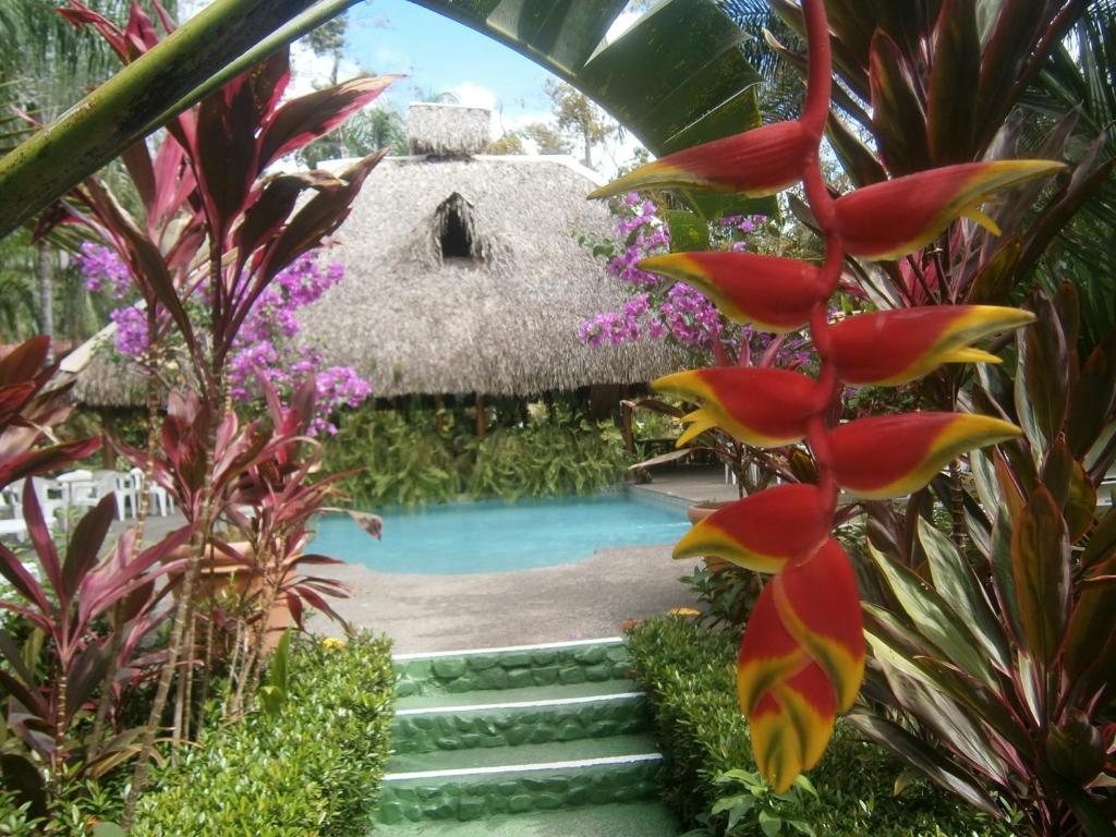 Hotel La Palapa Eco Lodge Resort Portalón Exterior foto