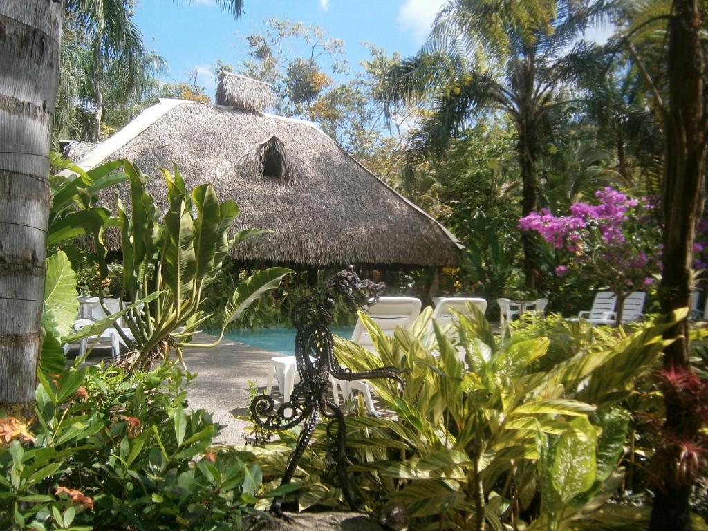 Hotel La Palapa Eco Lodge Resort Portalón Exterior foto
