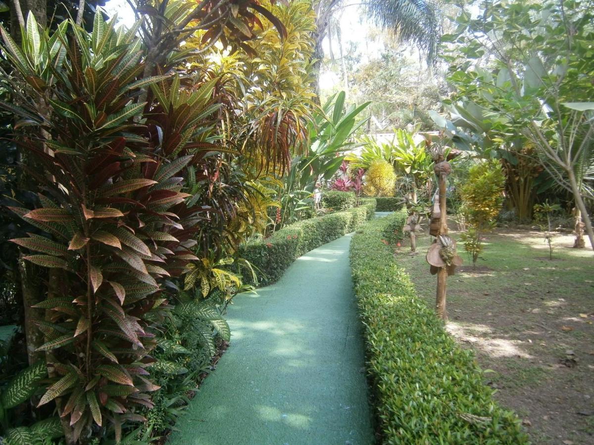 Hotel La Palapa Eco Lodge Resort Portalón Exterior foto